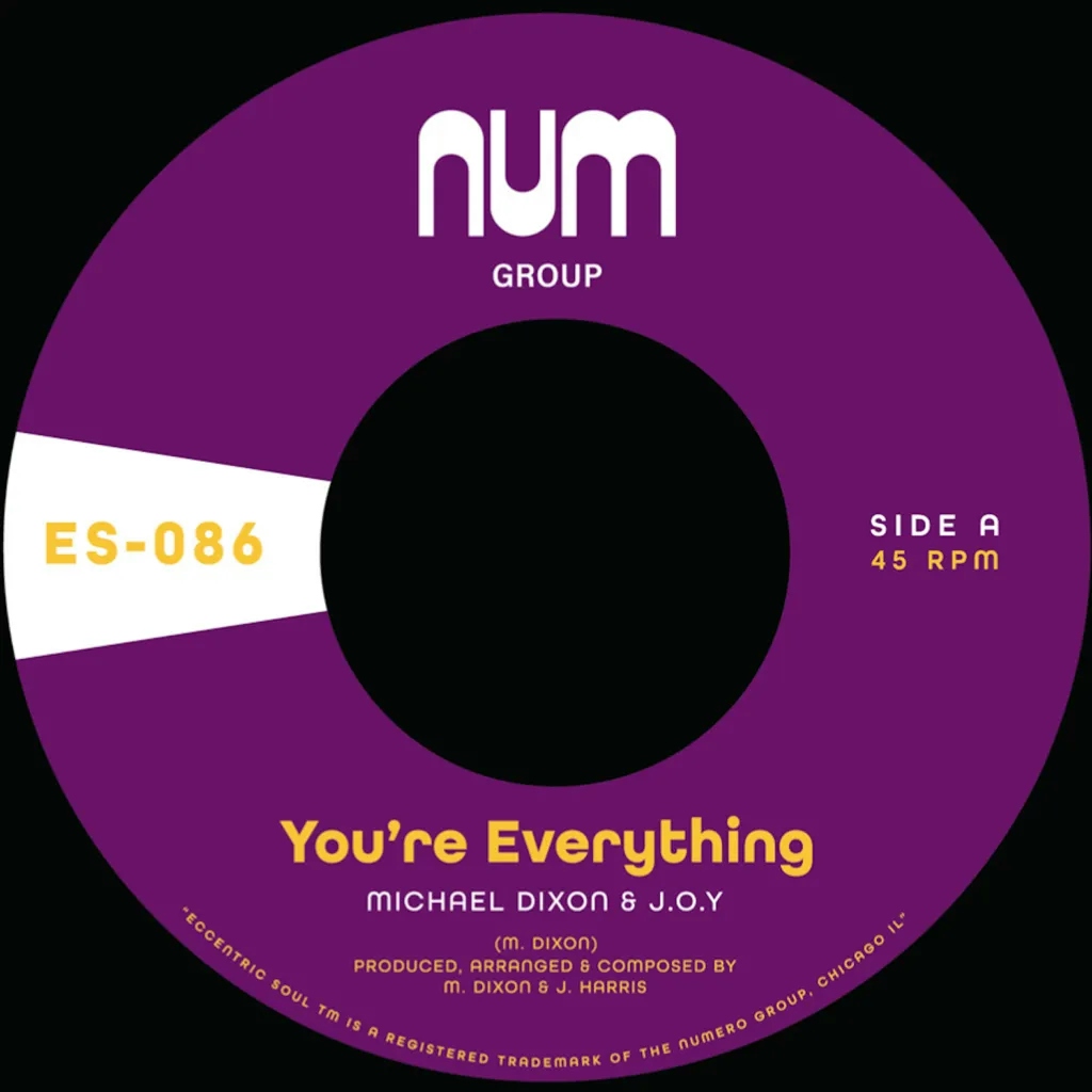 Album artwork for You're Everything / You're All I Need by Michael Dixon and J.O.Y