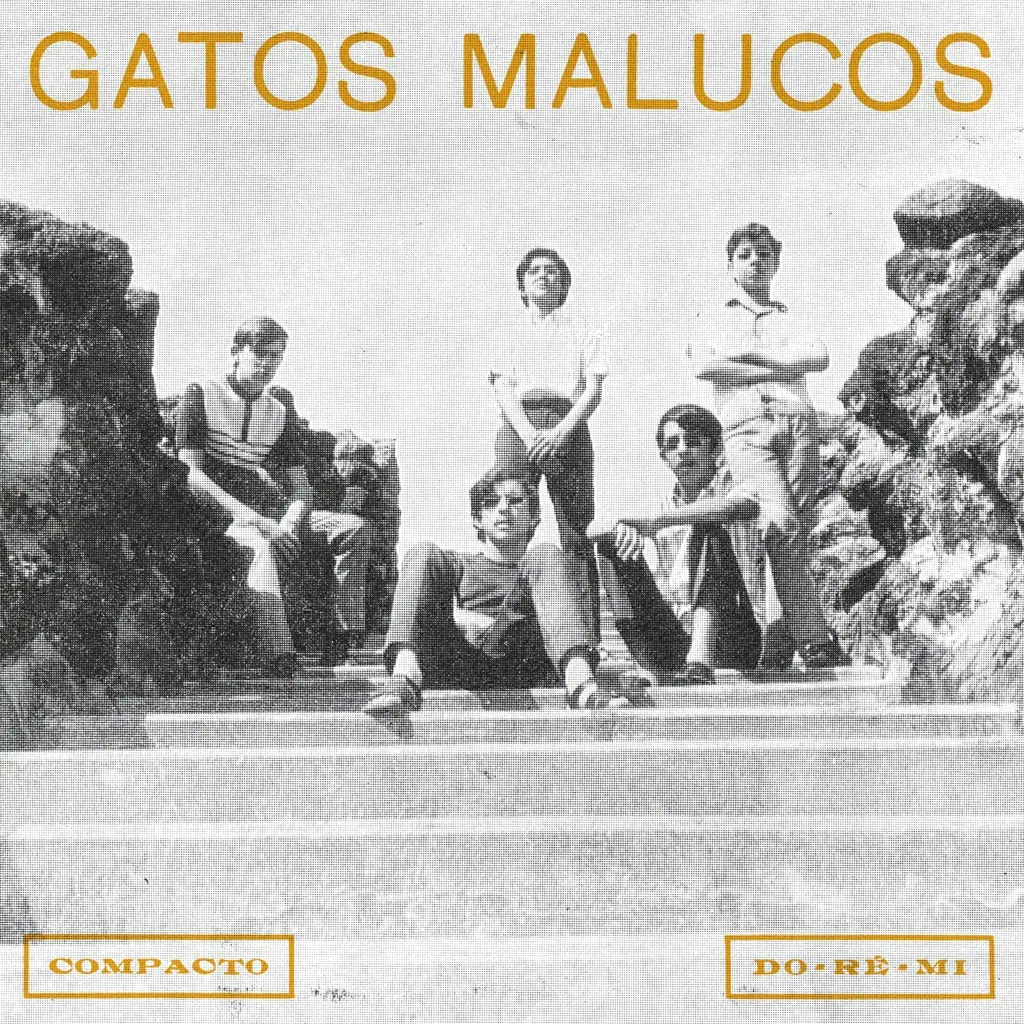 Album artwork for Sem Ver O Luar by Gatos Malucos