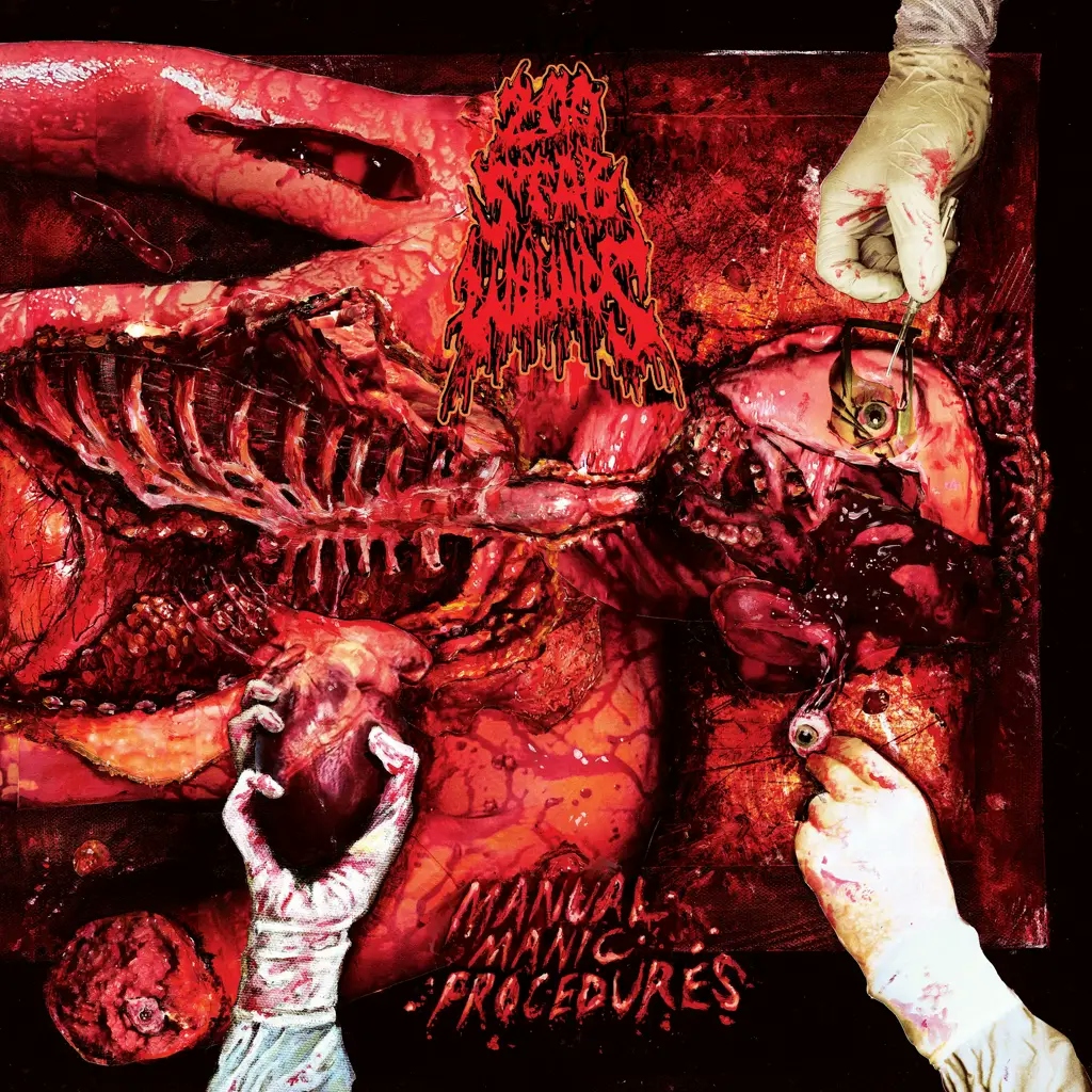 Album artwork for Manual Manic Procedures by 200 Stab Wounds