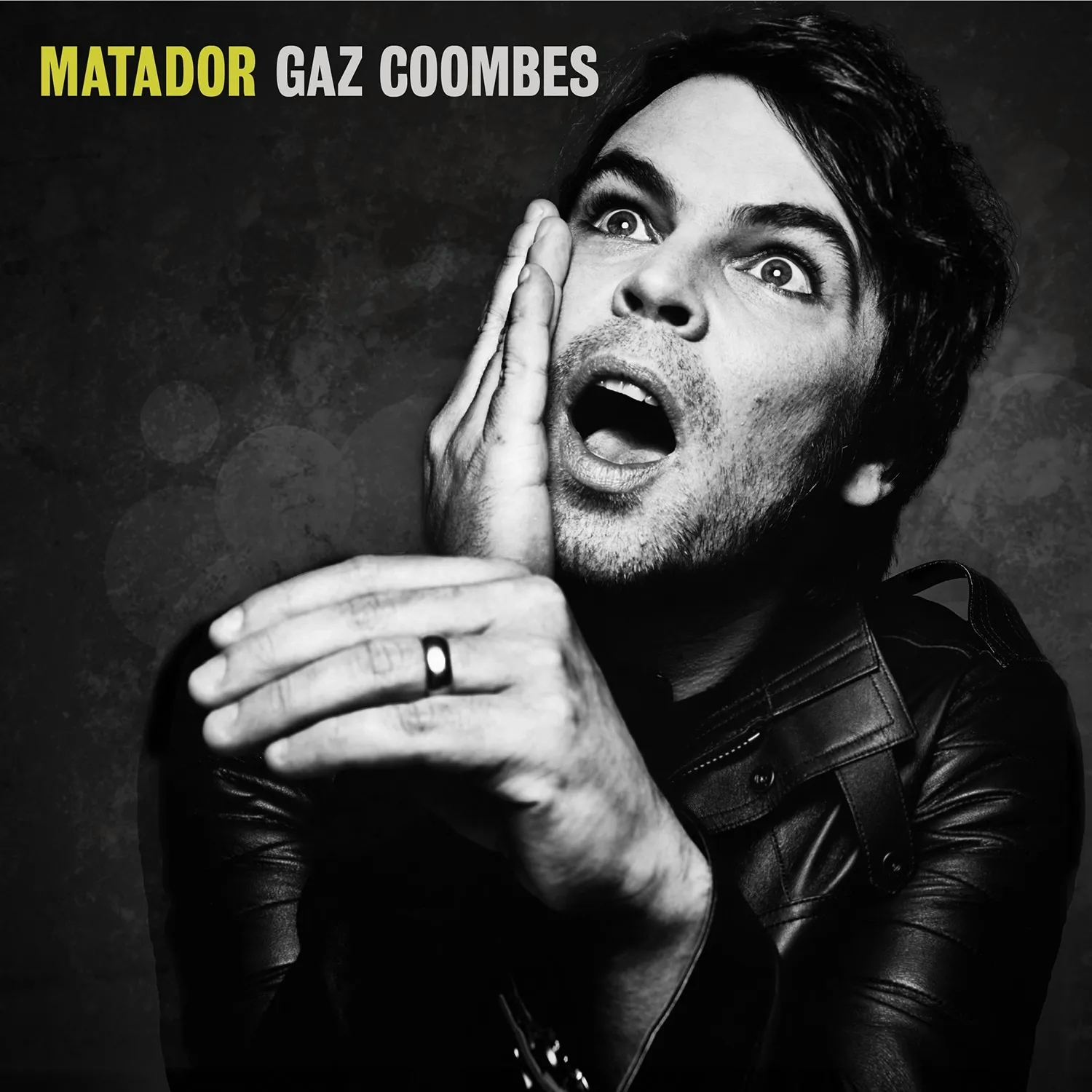 Album artwork for Matador by Gaz Coombes