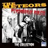 Album artwork for Psychobilly Rules The Collection by Meteors