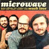 Album artwork for Much Love - Anniversary Edition by Microwave
