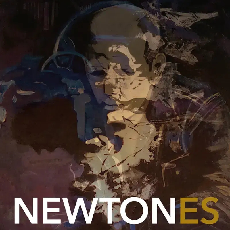 Album artwork for Newtones by Adi Newton