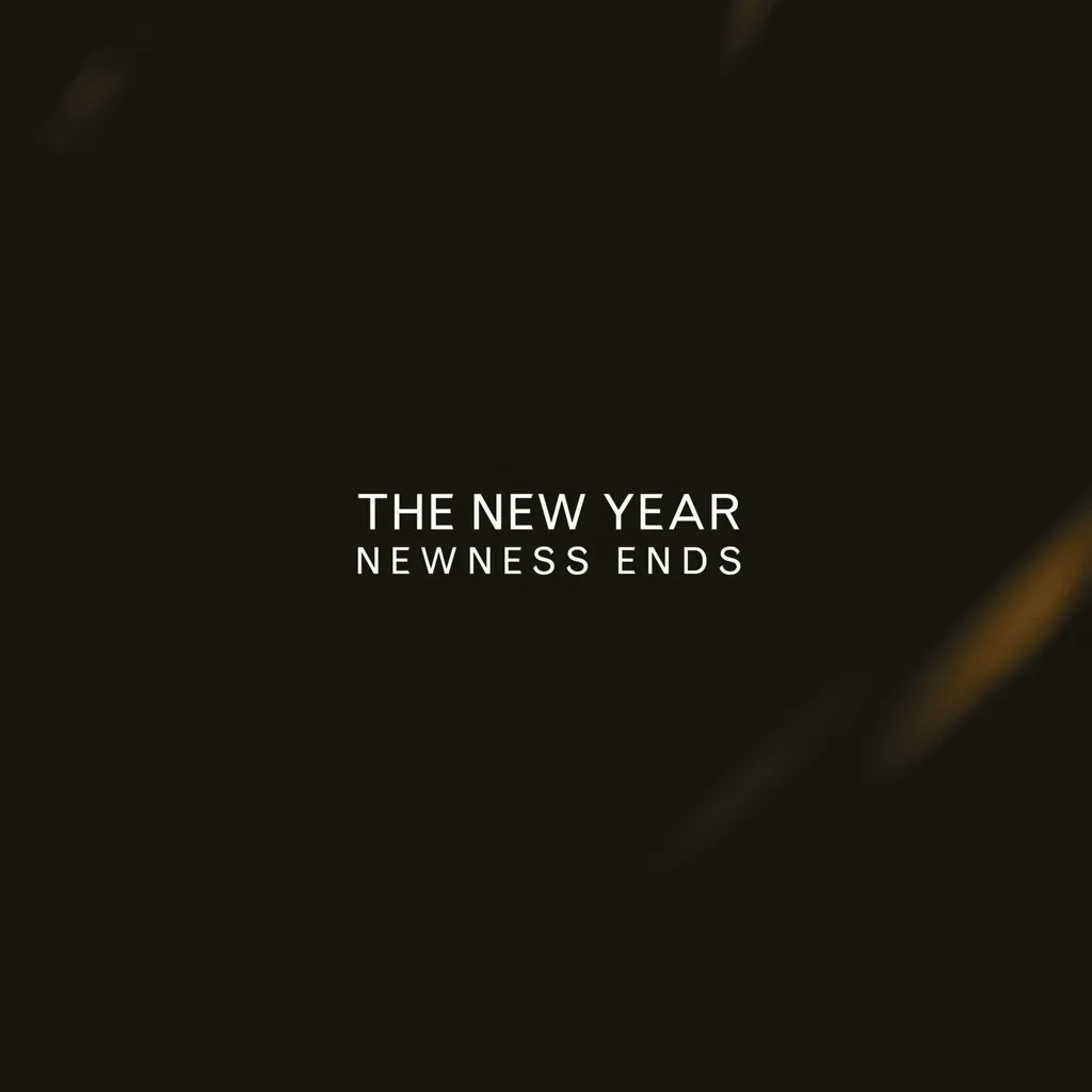 Album artwork for Newness Ends by The New Year