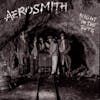 Album artwork for Night In The Ruts by Aerosmith