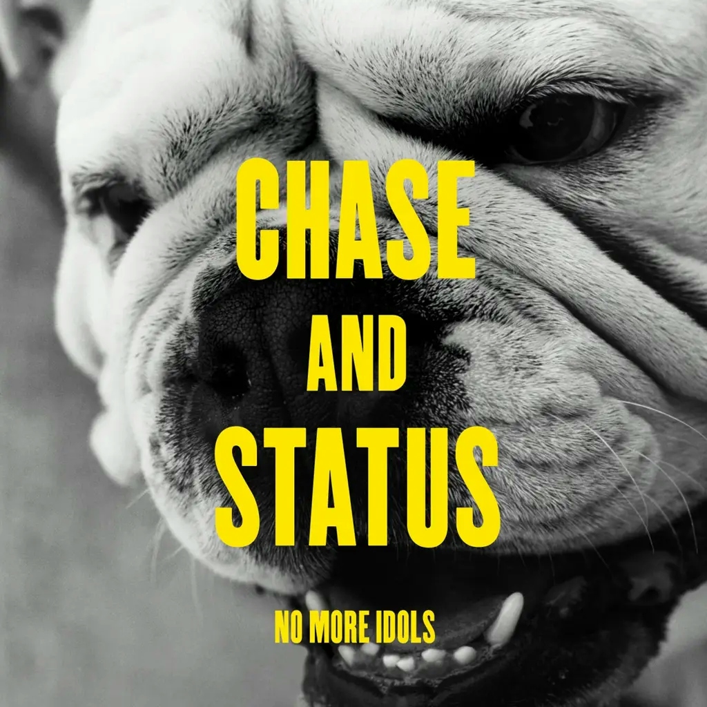 Album artwork for No More Idols by Chase and Status