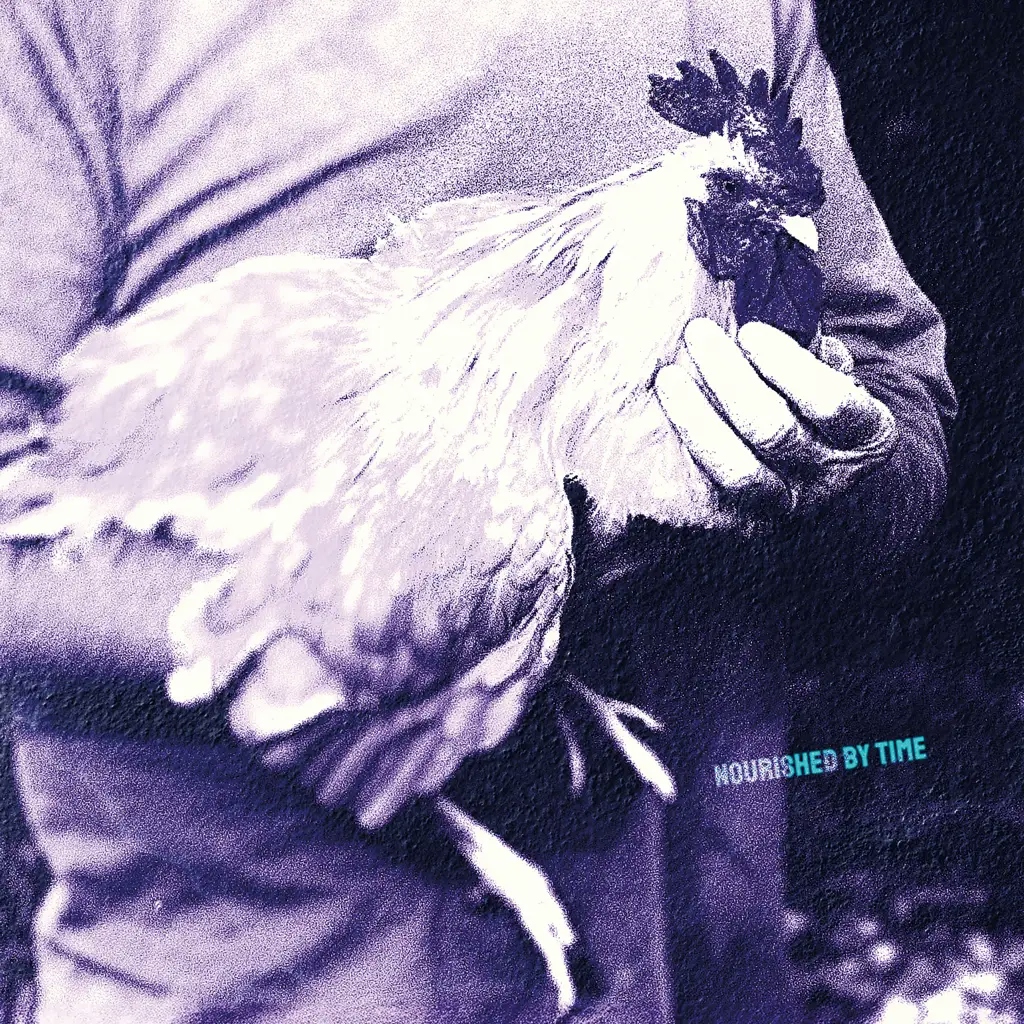 Album artwork for Catching Chickens EP by Nourished By Time