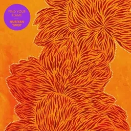Album artwork for Find Your Flame by Nubiyan Twist 