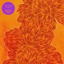 Album artwork for Find Your Flame by Nubiyan Twist 