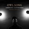 Album artwork for Owl Song by Ambrose Akinmusire