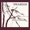 Album artwork for Pharoah by Pharoah Sanders