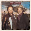 Album artwork for Pancho & Lefty by Merle Haggard, Willie Nelson