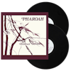 Album artwork for Pharoah by Pharoah Sanders