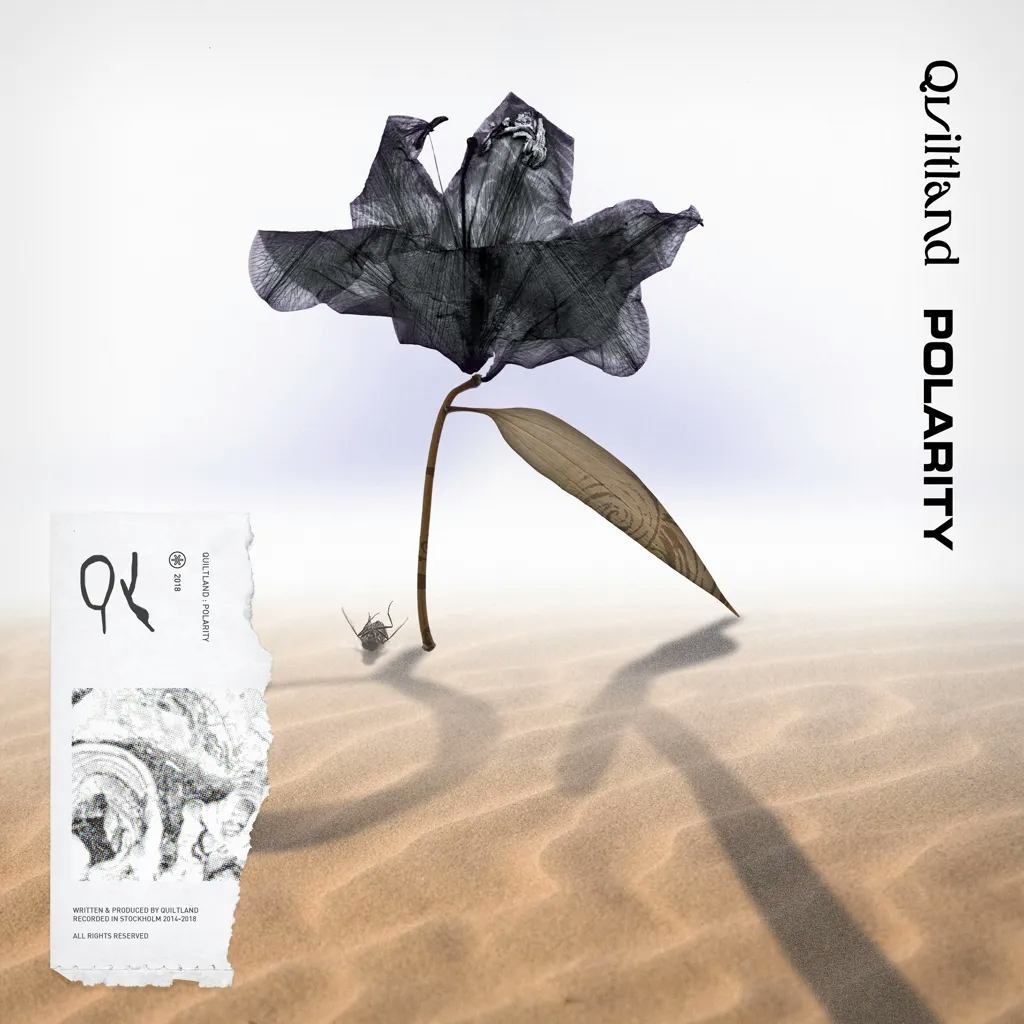 Album artwork for  Polarity by Quiltland