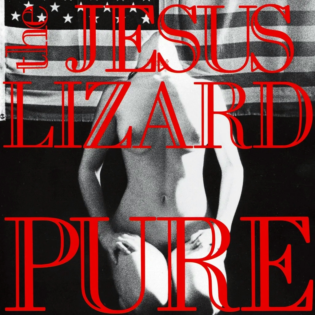 Album artwork for Pure by The Jesus Lizard