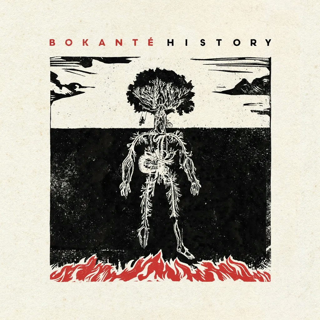 Album artwork for History by Bokante
