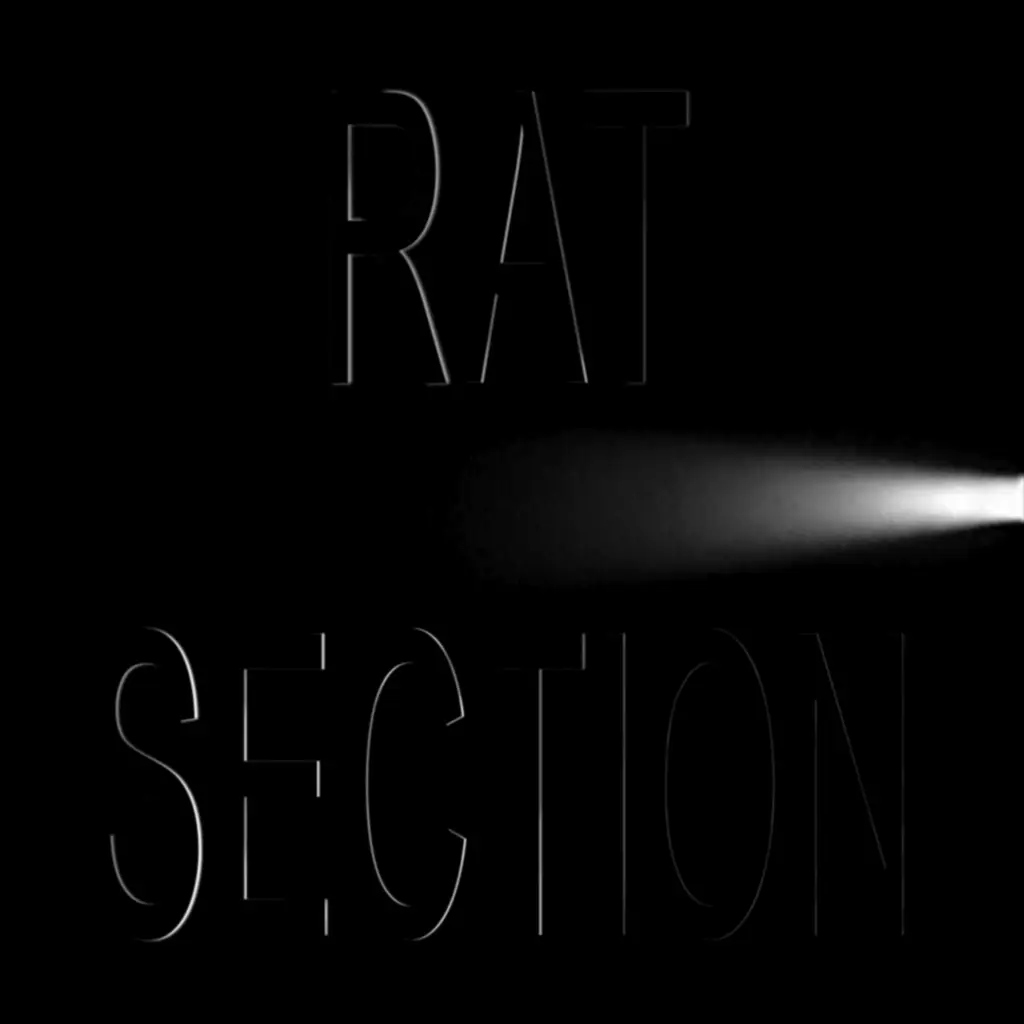 Album artwork for What Stays In Vegas by Rat Section