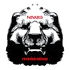 Album artwork for Reverberations by Nevaris