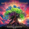 Album artwork for Roots & Shoots Vol. 1 by Jim Peterik