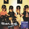 Album artwork for Singles Bar by Salad