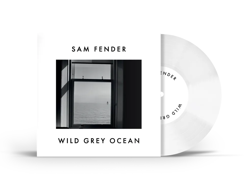 Album artwork for Wild Grey Ocean/Little Bull Of Blithe by Sam Fender
