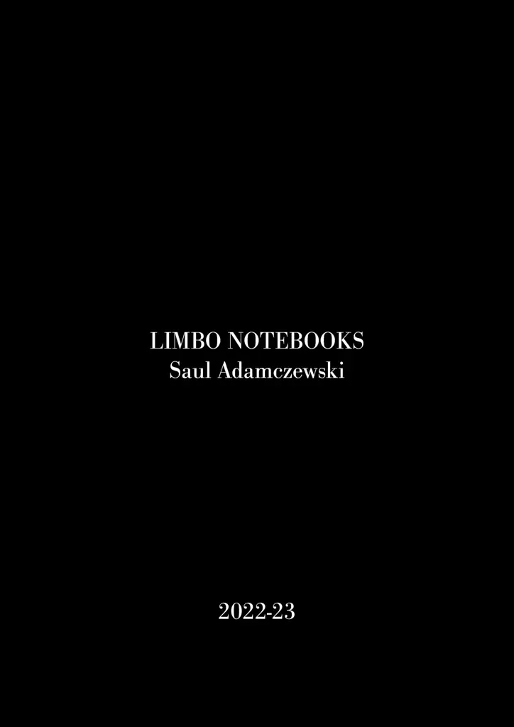 Album artwork for Limbo Notebooks by Saul Adamczewski