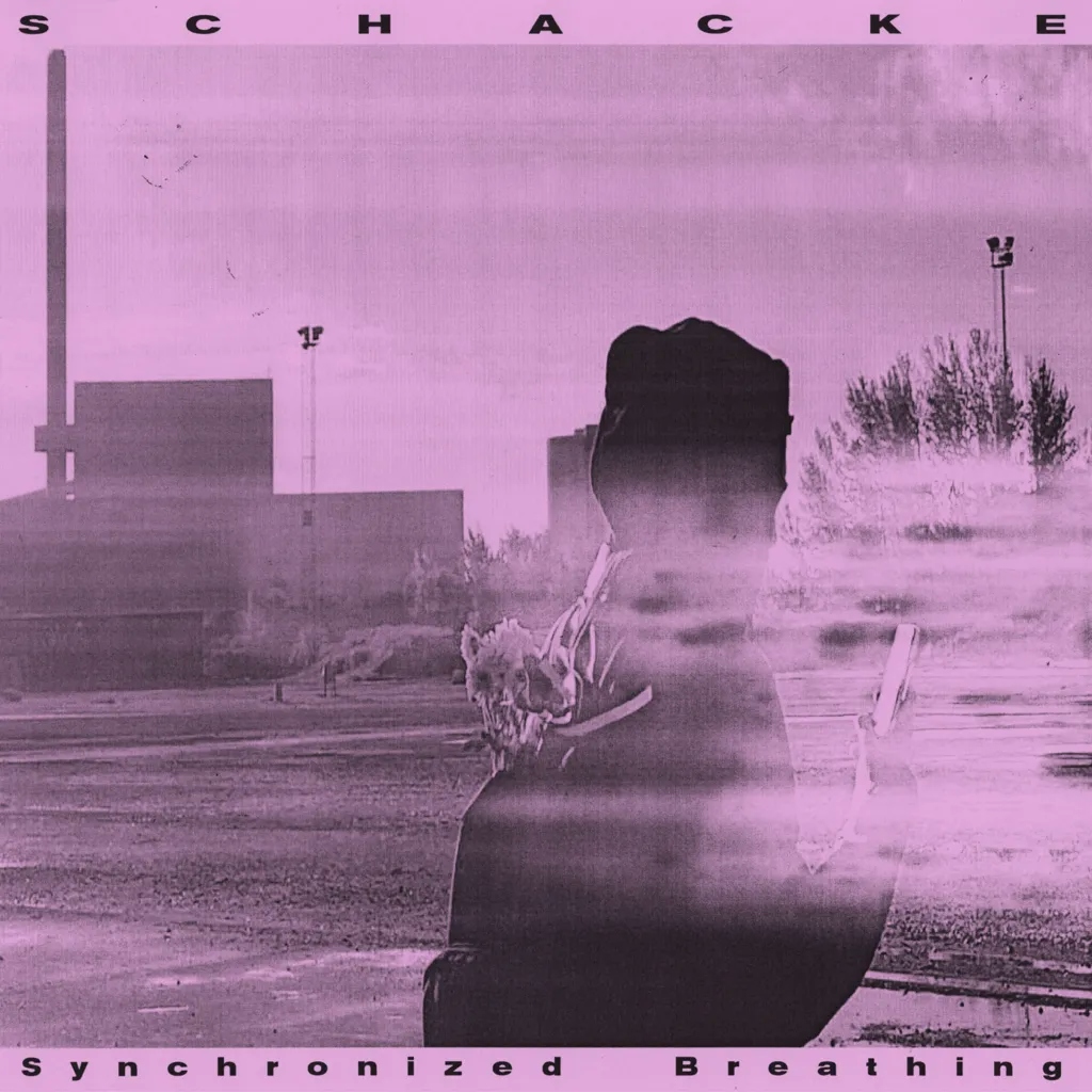 Album artwork for Synchronized Breathing by Schacke