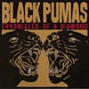 Album artwork for Chronicles of a Diamond by Black Pumas