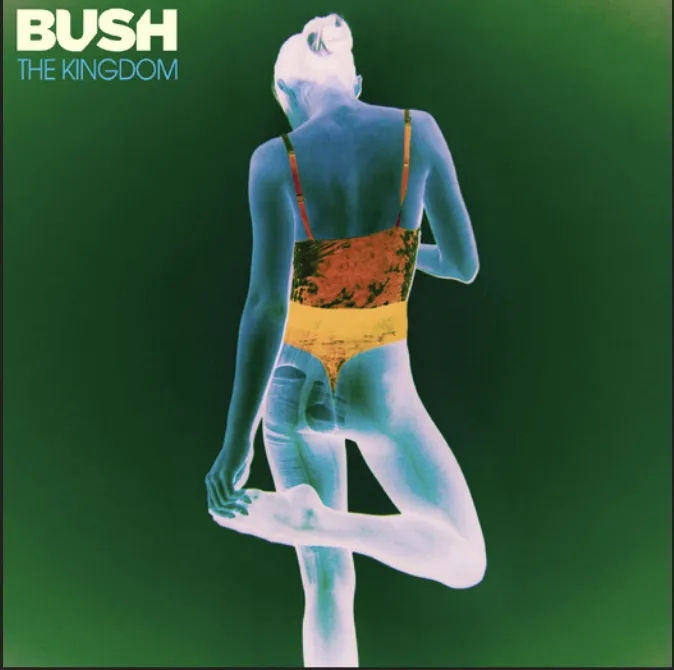 Album artwork for The Kingdom by Bush