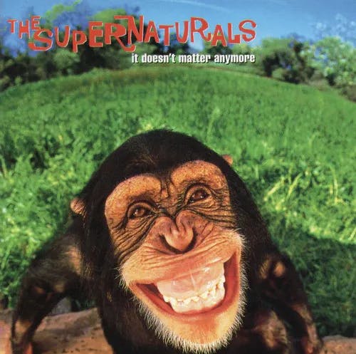 Album artwork for It Doesn't Matter Anymore by The Supernaturals
