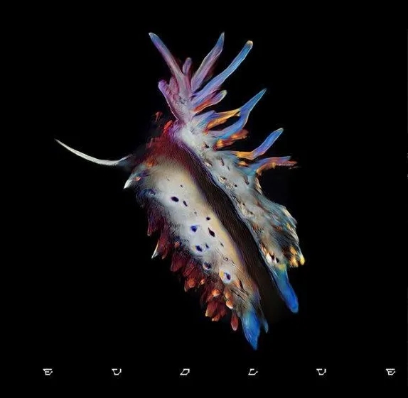Album artwork for Evolve by Sub Focus