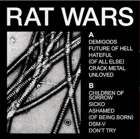 Album artwork for Rat Wars by Health
