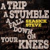 Album artwork for A Trip A Stumble A Fall Down On Your Knees by Seasick Steve