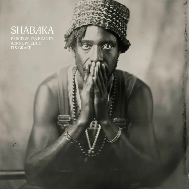 Album artwork for Perceive Its Beauty, Acknowledge Its Grace by Shabaka