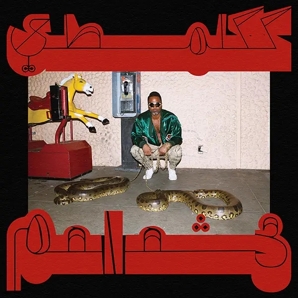 Album artwork for Robed in Rareness by Shabazz Palaces