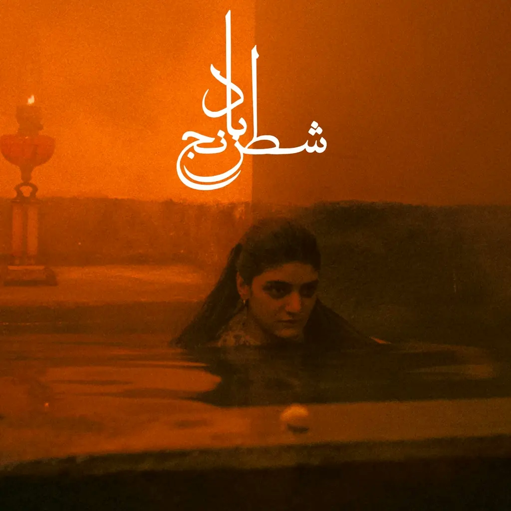 Album artwork for Chess of the Wind  by Sheida Gharachedaghi, Mohammad Reza Aslani