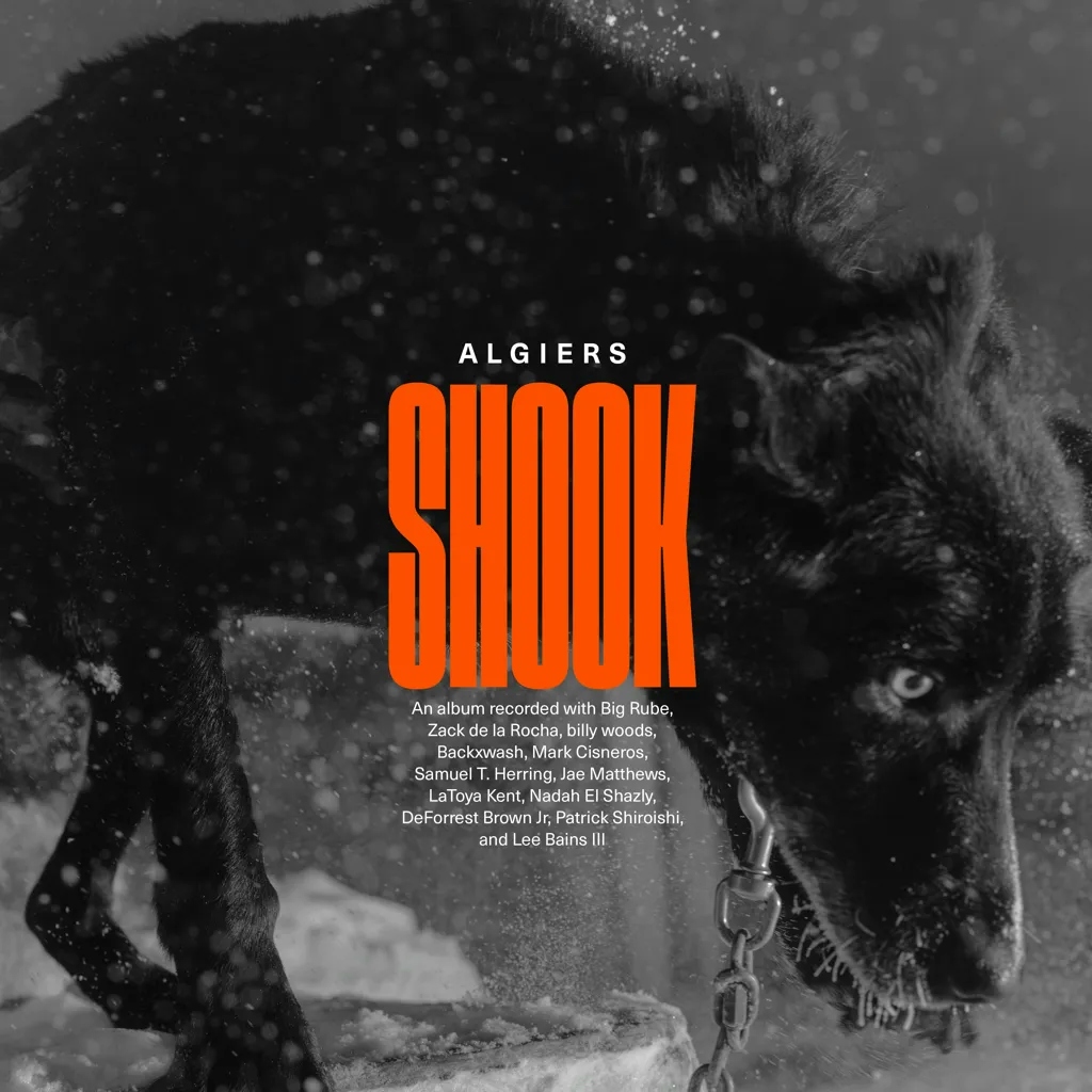 Album artwork for Album artwork for Shook by Algiers by Shook - Algiers