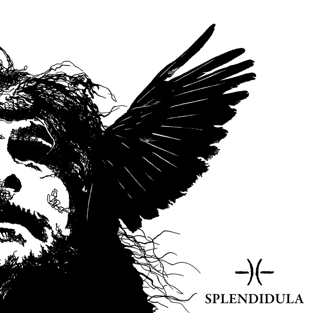 Album artwork for Somnus by  Splendidula