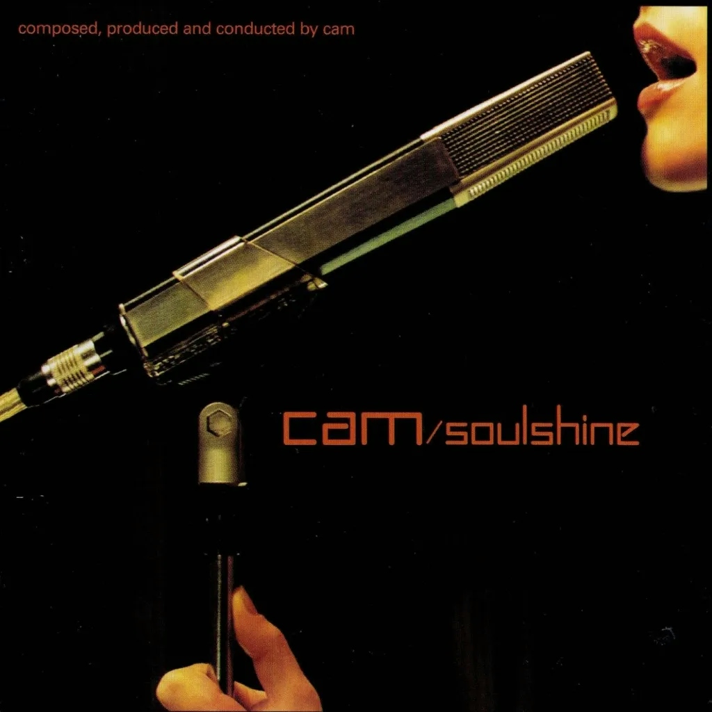 Album artwork for  Soulshine by DJ Cam