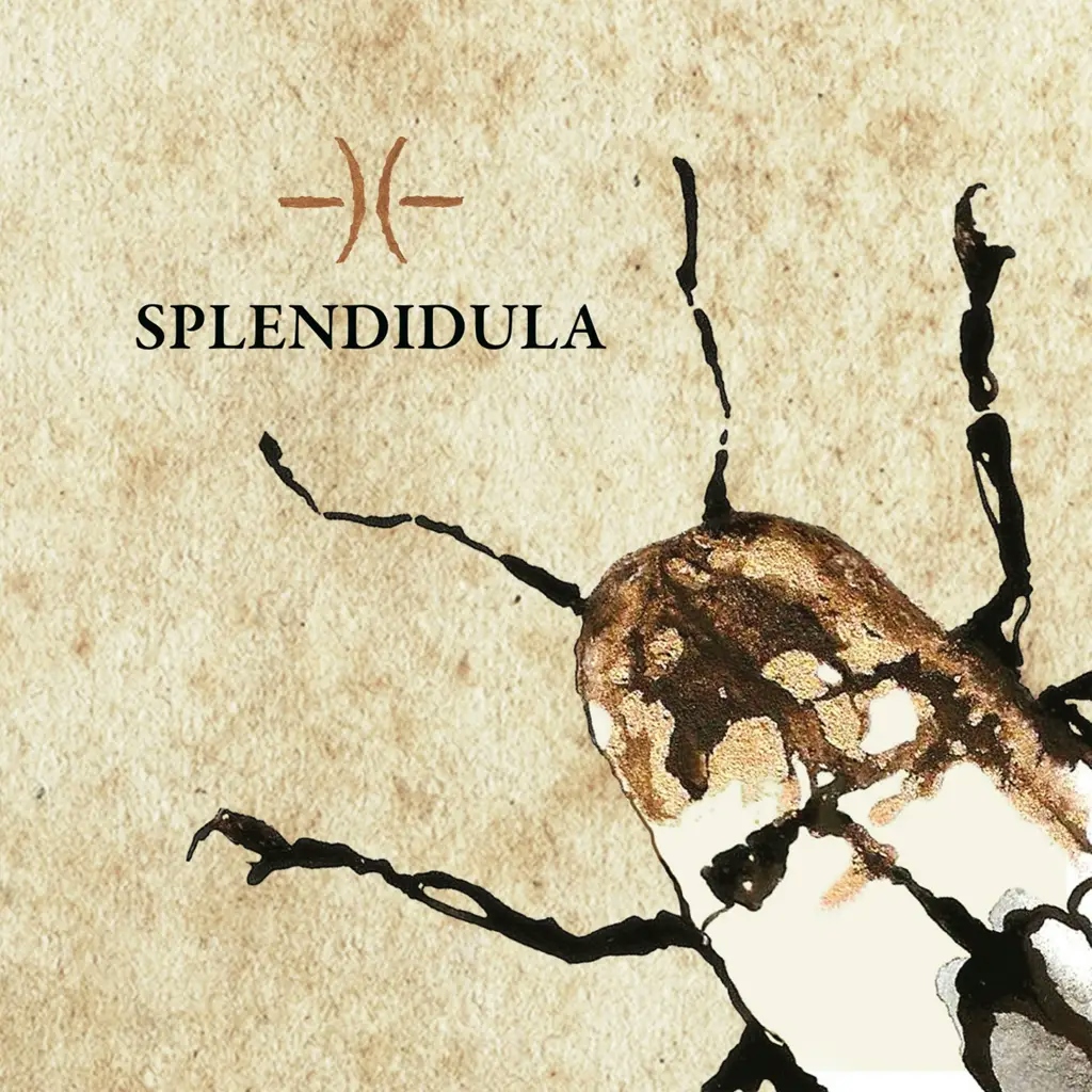 Album artwork for Splendidula by  Splendidula