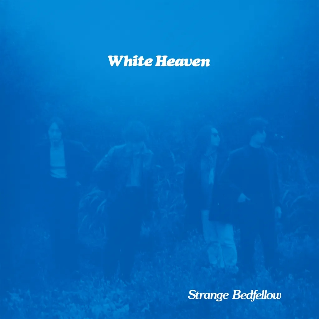 Album artwork for Strange Bedfellow by White Heaven