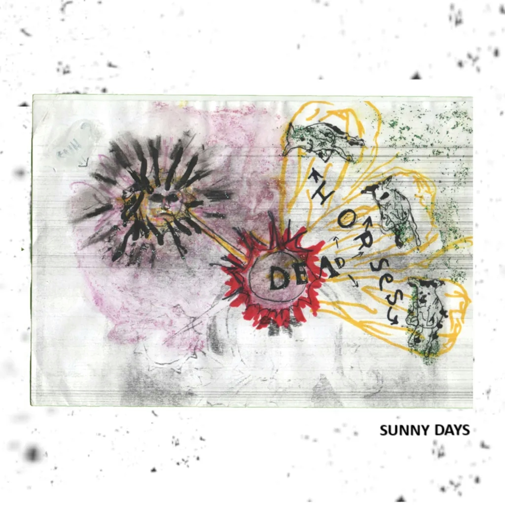 Album artwork for Sunny Days by Dead Horses 