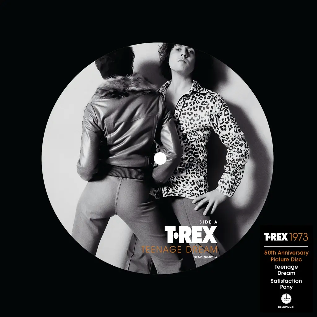 Album artwork for Teenage Dream / Satisfaction Pony by T Rex