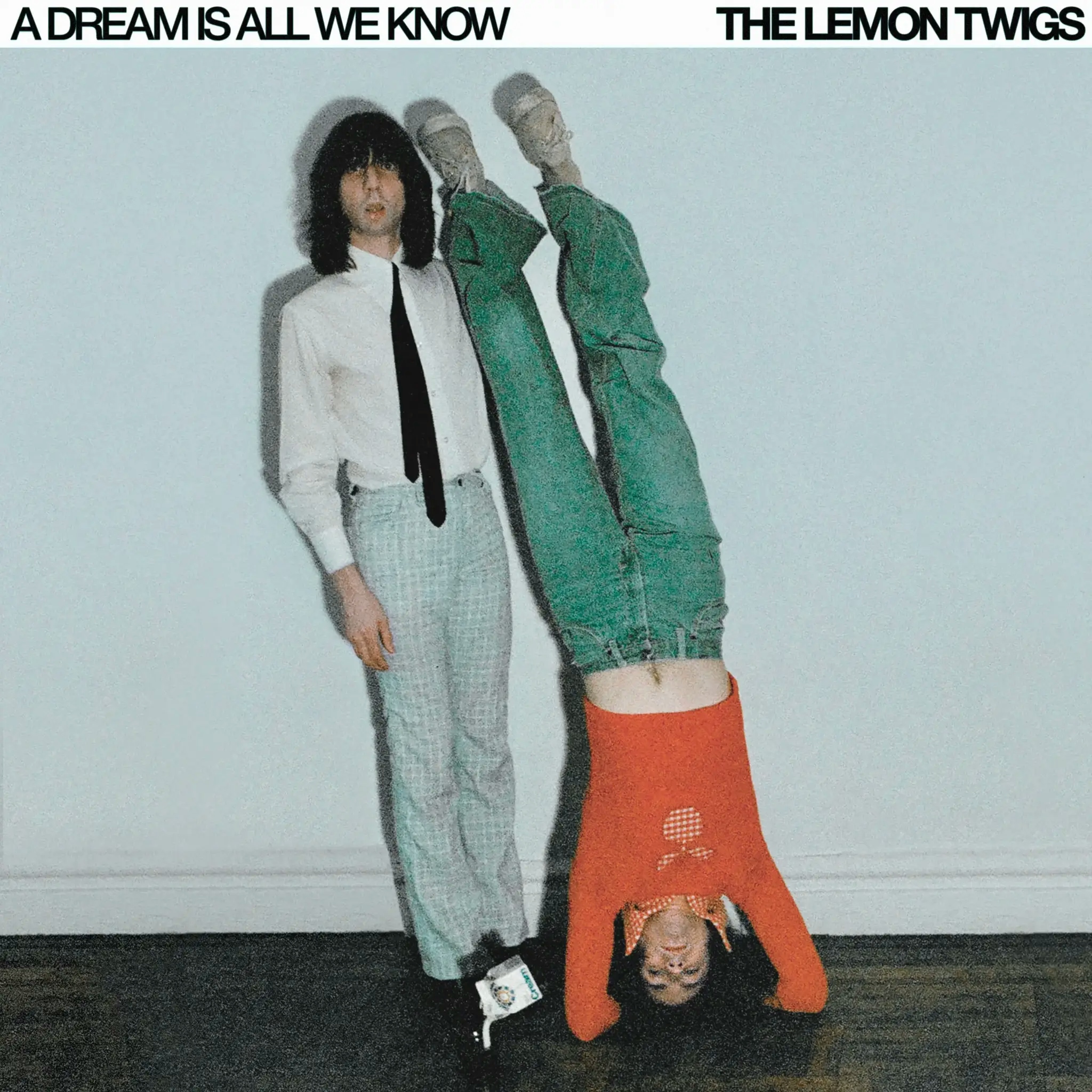 Album artwork for Album artwork for A Dream Is All We Know by The Lemon Twigs by A Dream Is All We Know - The Lemon Twigs