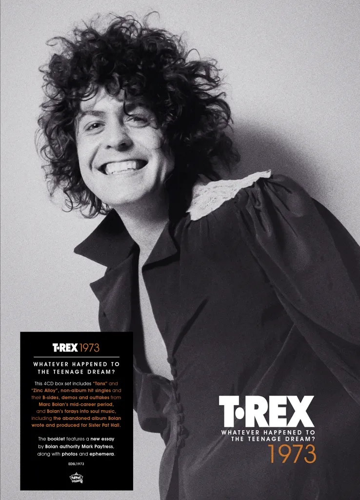 Album artwork for Whatever Happened To The Teenage Dream? (1973) by T Rex