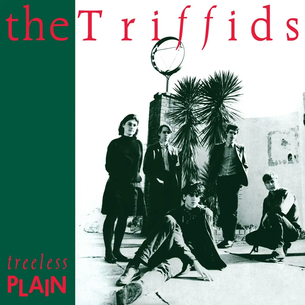 Album artwork for Treeless Plain (40th Anniversary) by The Triffids