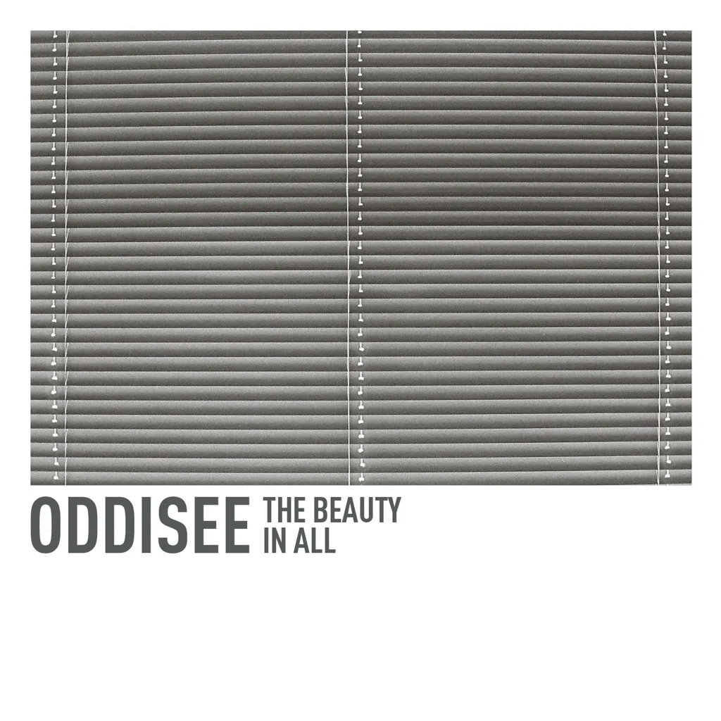 Album artwork for The Beauty In All by Oddisee