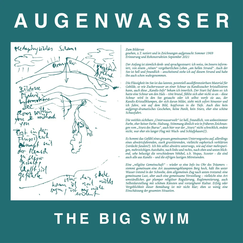 Album artwork for The Big Swim by Augenwasser