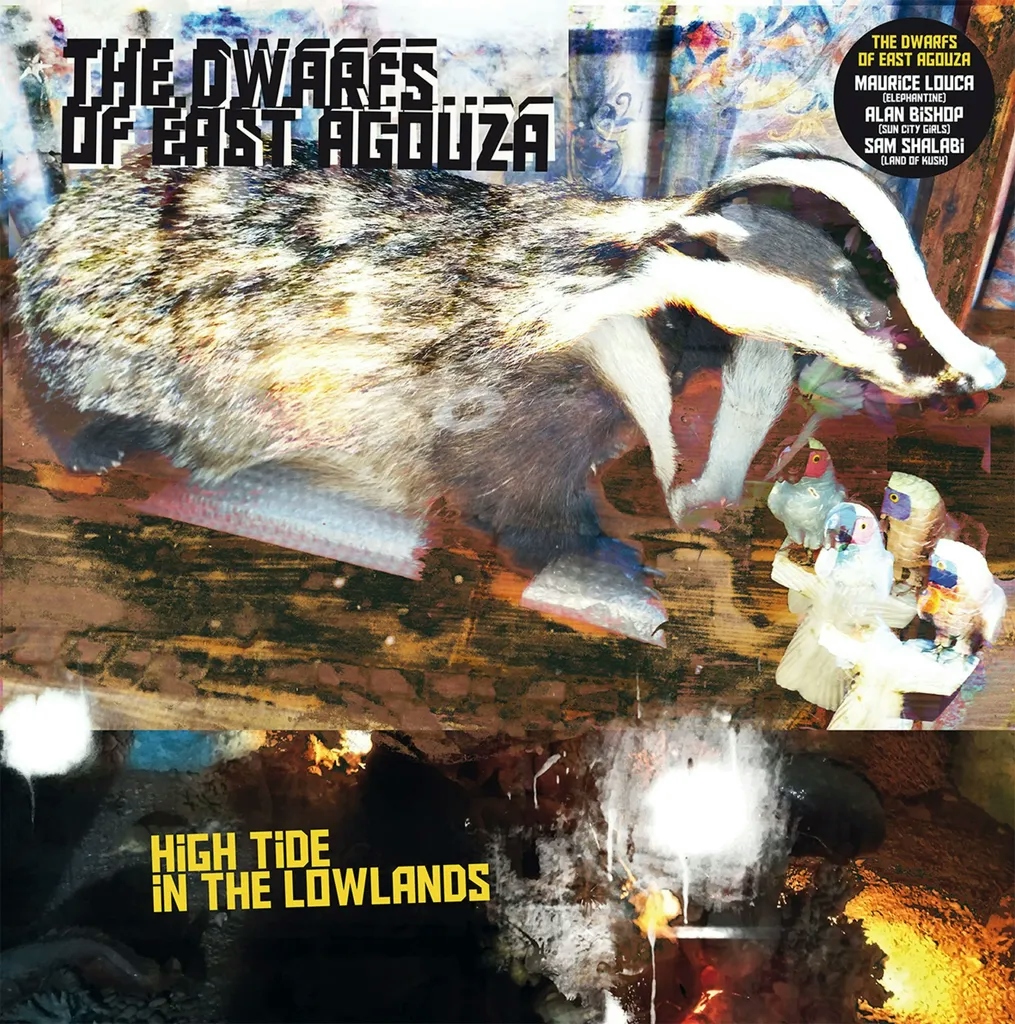 Album artwork for High Tide In The Lowlands by The Dwarfs Of East Agouza