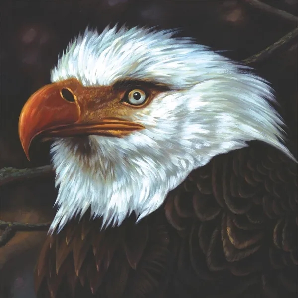 Album artwork for The Hawk Is Howling by Mogwai